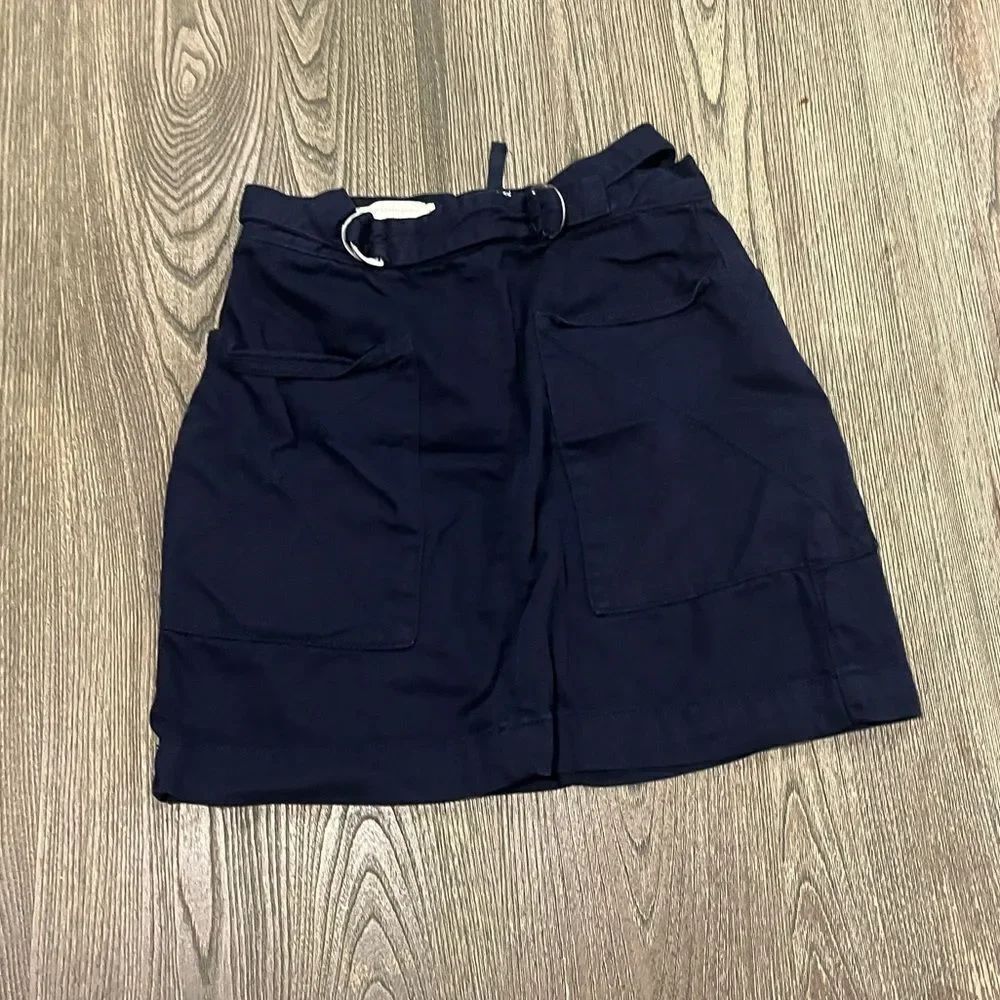 Anthropologie Pilcro and the Letterpress Mina A-Line Mini Skirt Blue Size 4